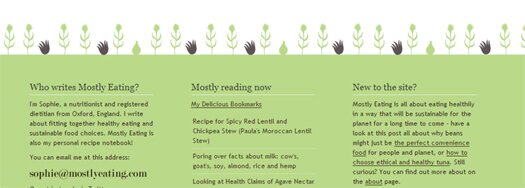 Beautiful Footer Design