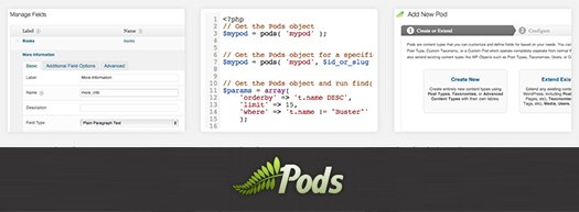create-manage-customized-content-types-fields-for-wordpress-pods create-manage-customized-content-types-fields-for-wordpress-pods